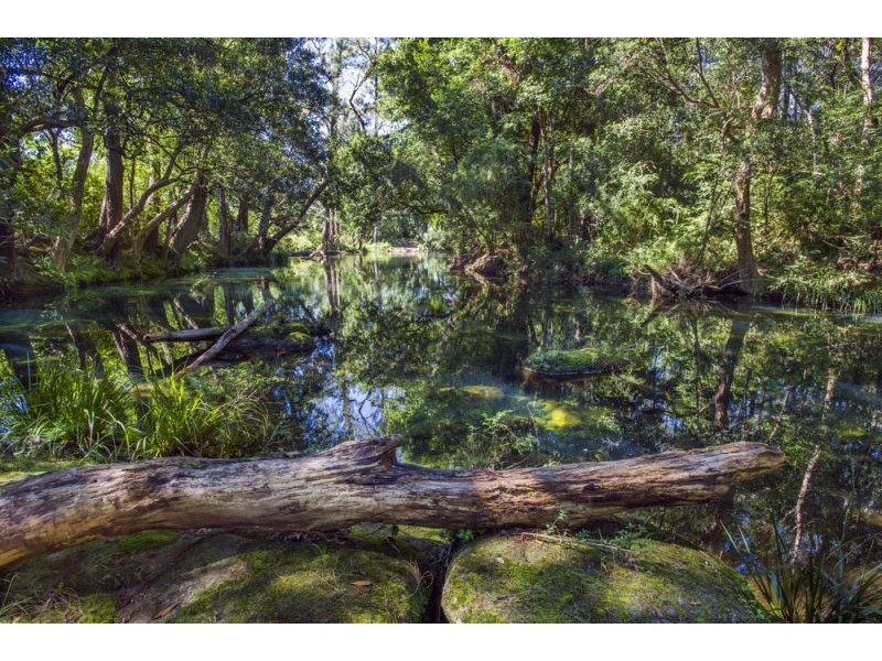 Bellingen NSW 2454