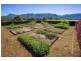 Bellingen NSW 2454