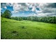 92 Hains Lane, Bellingen NSW 2454