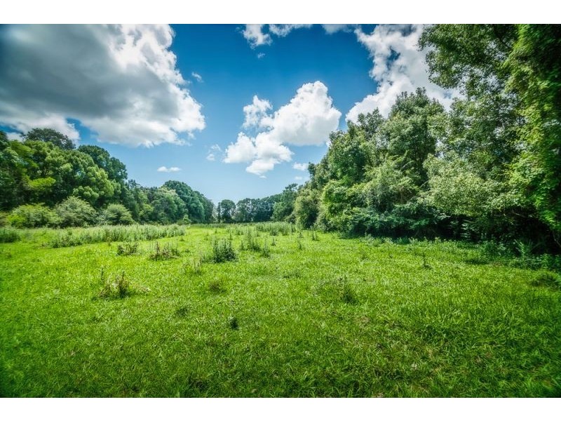 92 Hains Lane, Bellingen NSW 2454