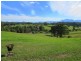 Bellingen NSW 2454
