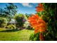 43 Old Coast Road, Repton NSW 2454
