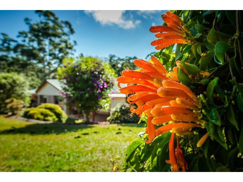 43 Old Coast Road, Repton NSW 2454