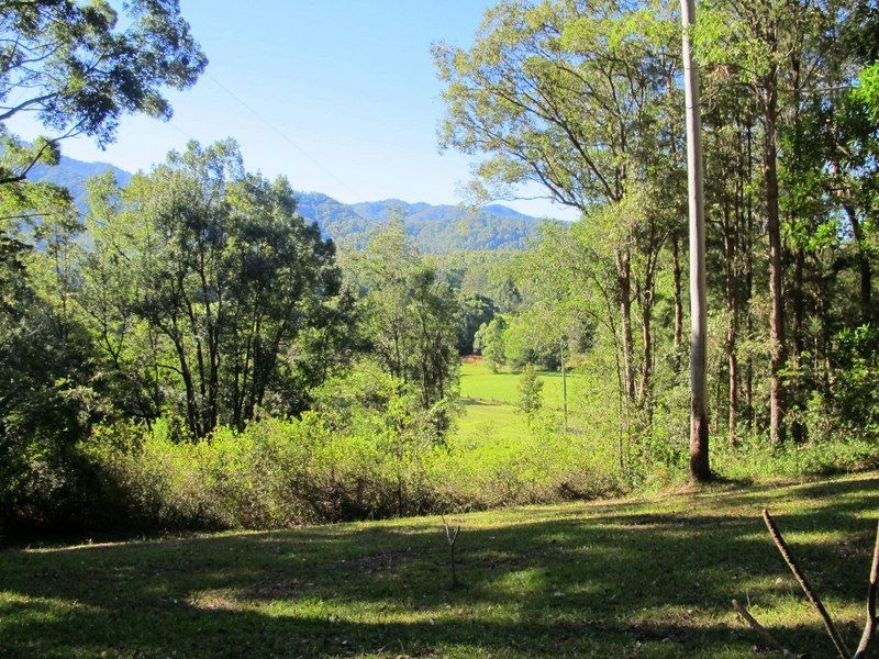 59 Timboon Rd Valery, Bellingen NSW 2454