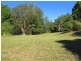 1624 Kalang Rd, Bellingen NSW 2454