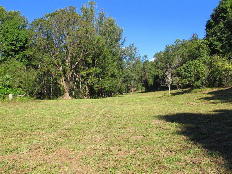 1624 Kalang Rd, Bellingen NSW 2454