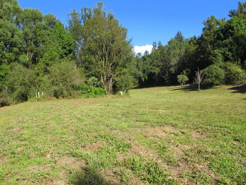 1624 Kalang Rd, Bellingen NSW 2454
