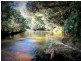 1624 Kalang Rd, Bellingen NSW 2454