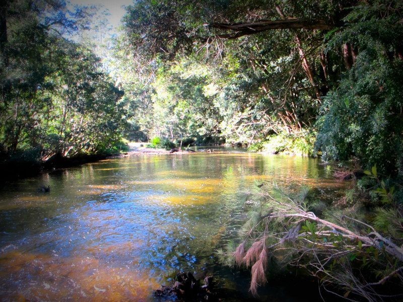 1624 Kalang Rd, Bellingen NSW 2454