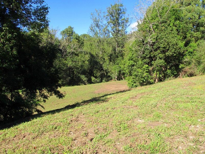 1624 Kalang Rd, Bellingen NSW 2454