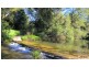 1624 Kalang Rd, Bellingen NSW 2454
