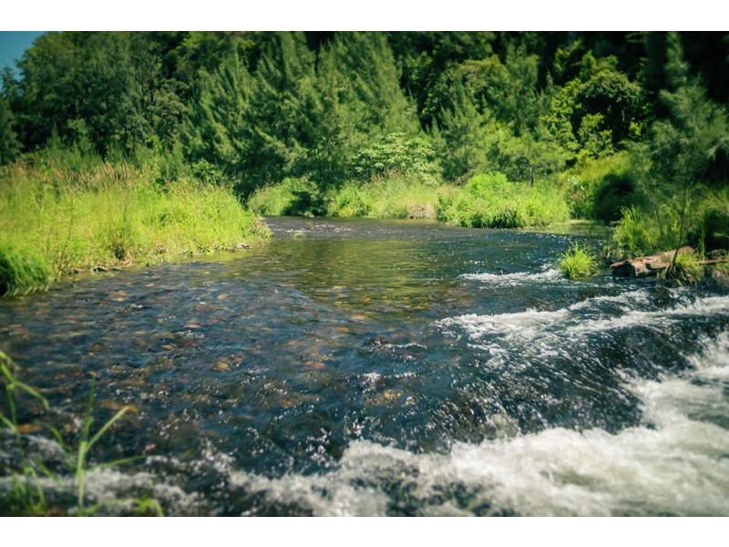 1498 Darkwood Rd, Thora, Bellingen NSW 2454