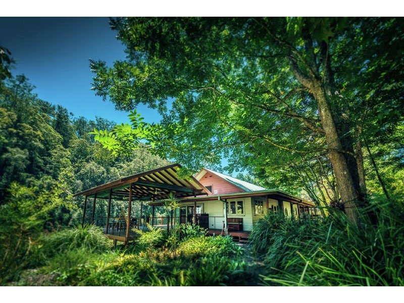 1498 Darkwood Rd, Thora, Bellingen NSW 2454