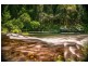 1498 Darkwood Rd, Thora, Bellingen NSW 2454