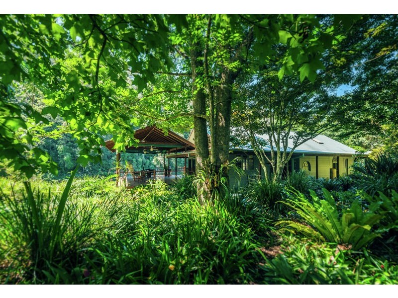 1498 Darkwood Rd, Thora, Bellingen NSW 2454