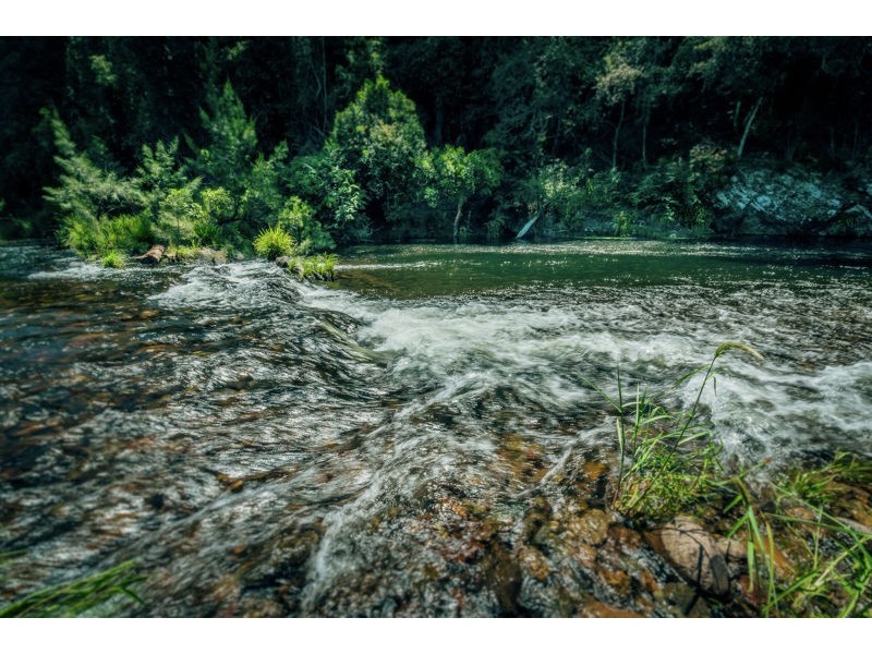 1498 Darkwood Rd, Thora, Bellingen NSW 2454