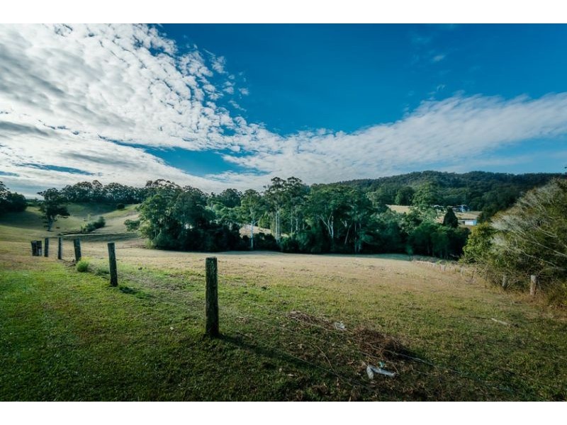 595 Bowraville Road, Bellingen NSW 2454