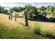 595 Bowraville Road, Bellingen NSW 2454