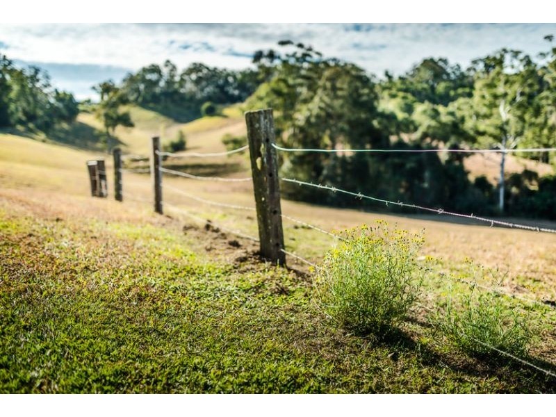 595 Bowraville Road, Bellingen NSW 2454