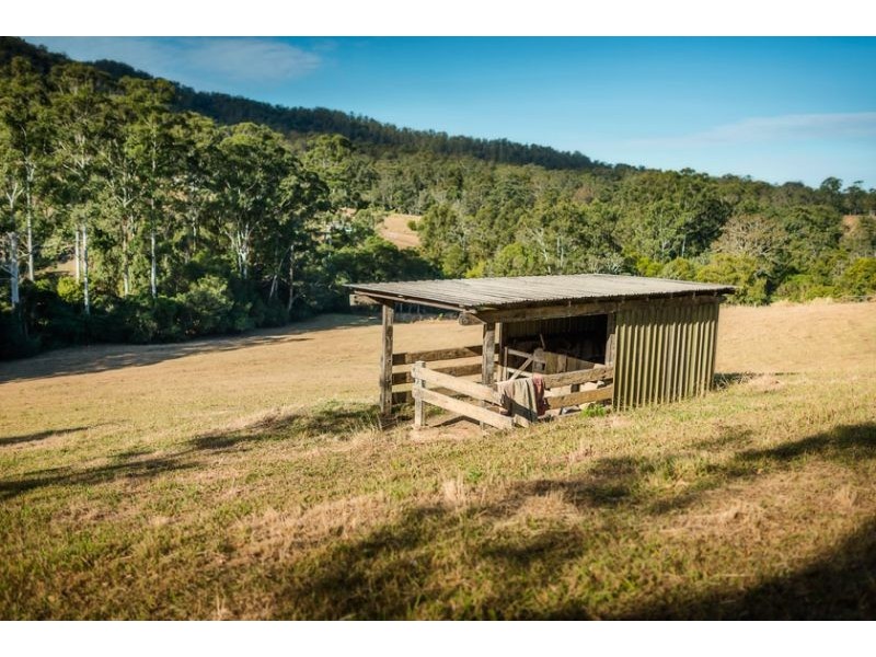 595 Bowraville Road, Bellingen NSW 2454
