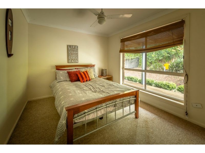 595 Bowraville Road, Bellingen NSW 2454