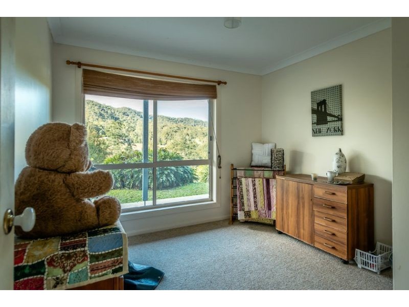 595 Bowraville Road, Bellingen NSW 2454