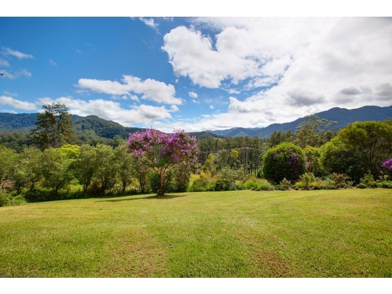 153 Darkwood Rd, Thora NSW 2454