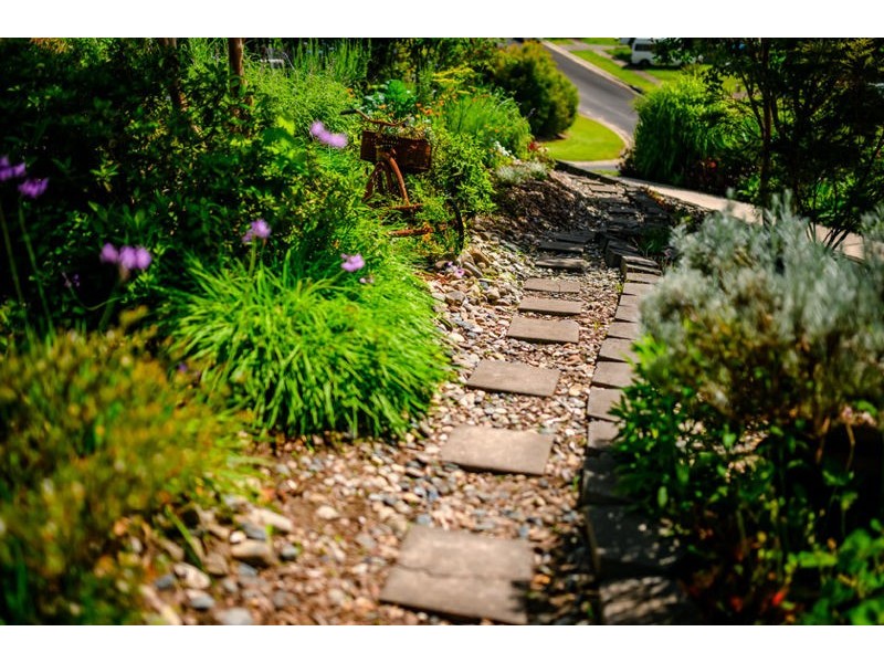 11 Red Gum Crescent, Bellingen NSW 2454