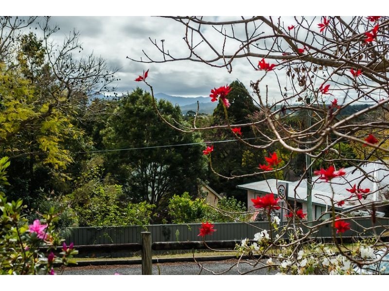 13 Crown Street, Bellingen NSW 2454