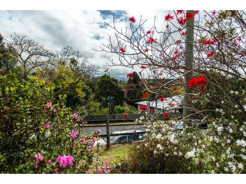 13 Crown Street, Bellingen NSW 2454