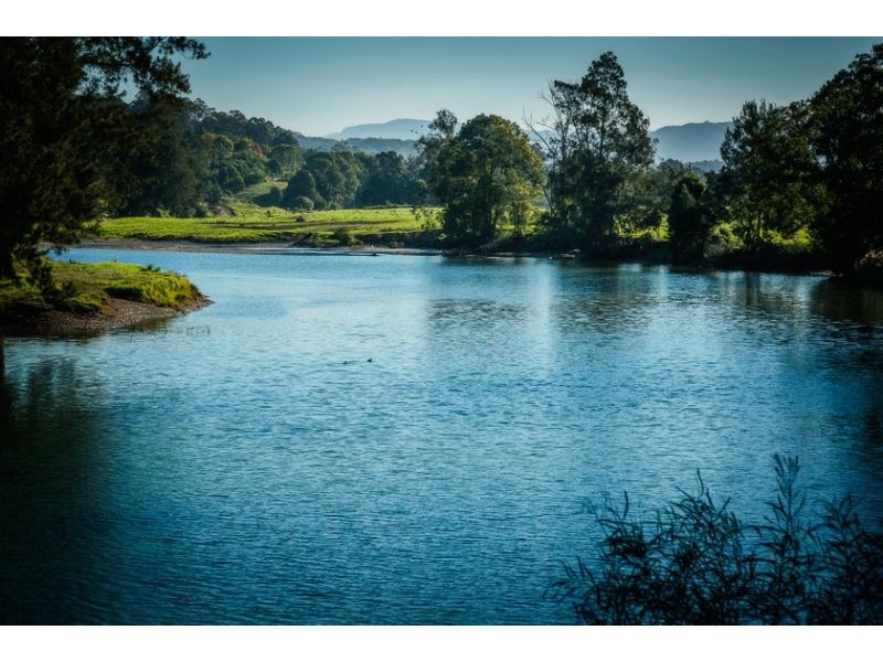 524 Northbank Road, Bellingen NSW 2454