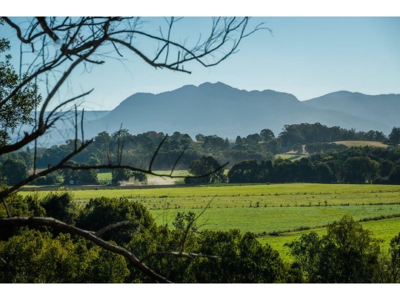 524 Northbank Road, Bellingen NSW 2454