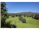524 Northbank Road, Bellingen NSW 2454