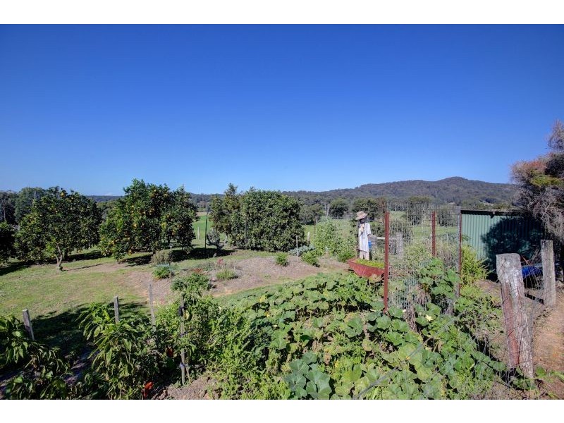 524 Northbank Road, Bellingen NSW 2454