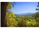2727 Waterfall Way, Bellingen NSW 2454