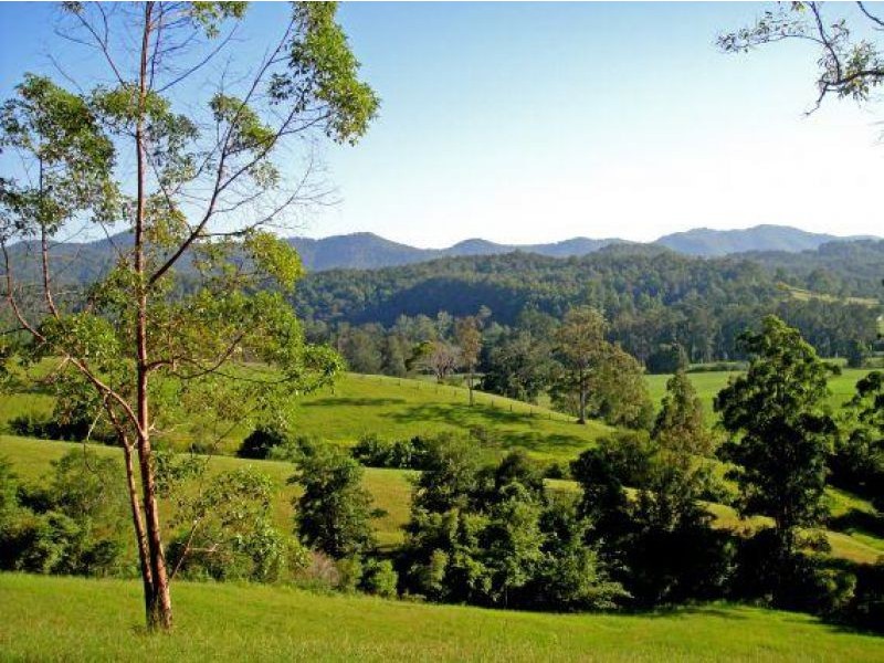2727 Waterfall Way, Bellingen NSW 2454