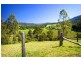 2727 Waterfall Way, Bellingen NSW 2454