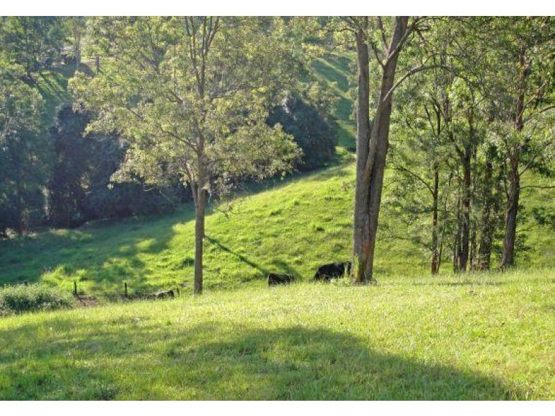 2727 Waterfall Way, Bellingen NSW 2454