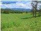 60 Reids Road, Bellingen NSW 2454