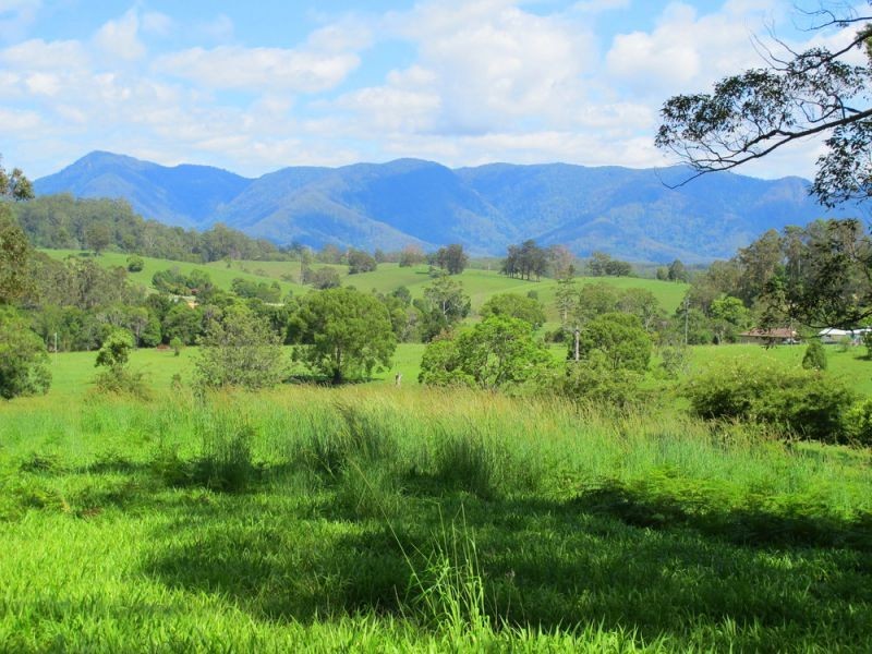 60 Reids Road, Bellingen NSW 2454
