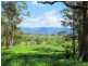 60 Reids Road, Bellingen NSW 2454