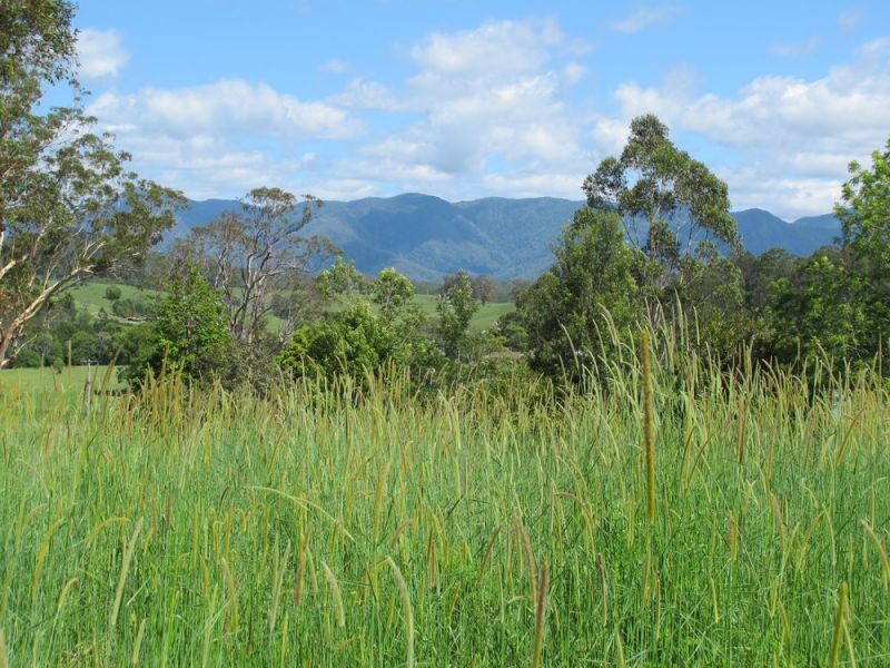 60 Reids Road, Bellingen NSW 2454