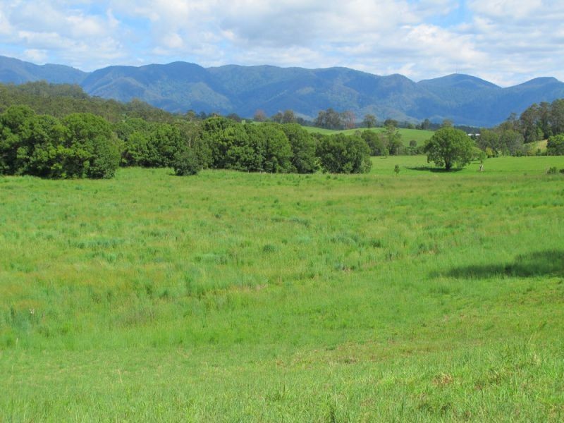 60 Reids Road, Bellingen NSW 2454