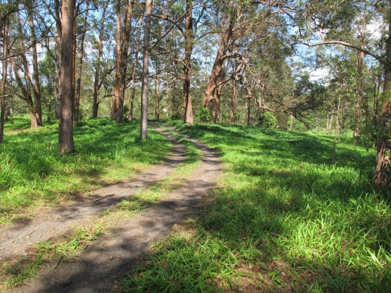 60 Reids Road, Bellingen NSW 2454