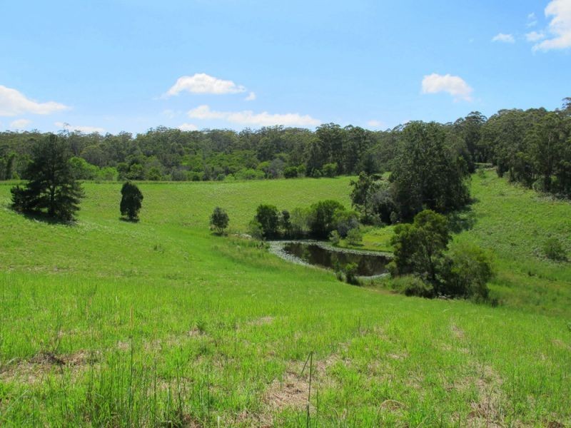 60 Reids Road, Bellingen NSW 2454