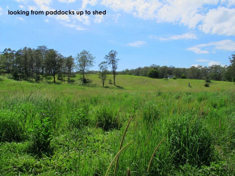 60 Reids Road, Bellingen NSW 2454