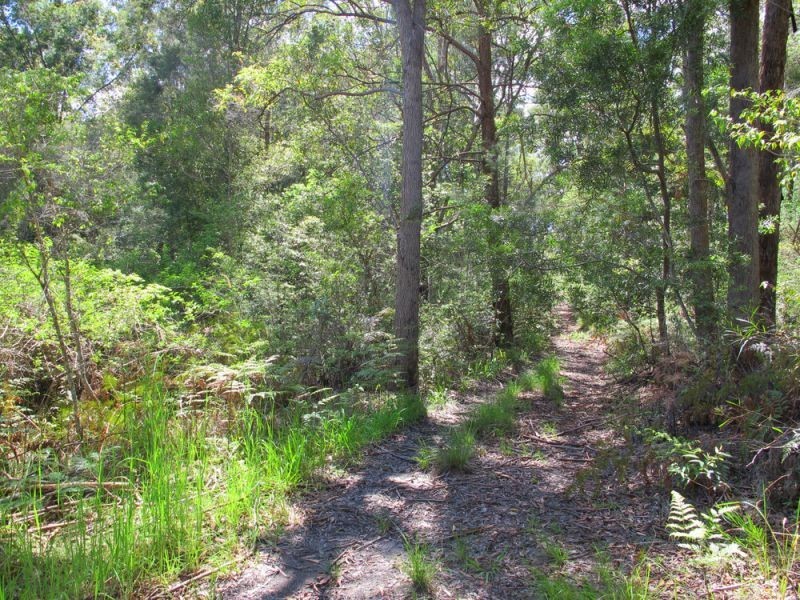 60 Reids Road, Bellingen NSW 2454