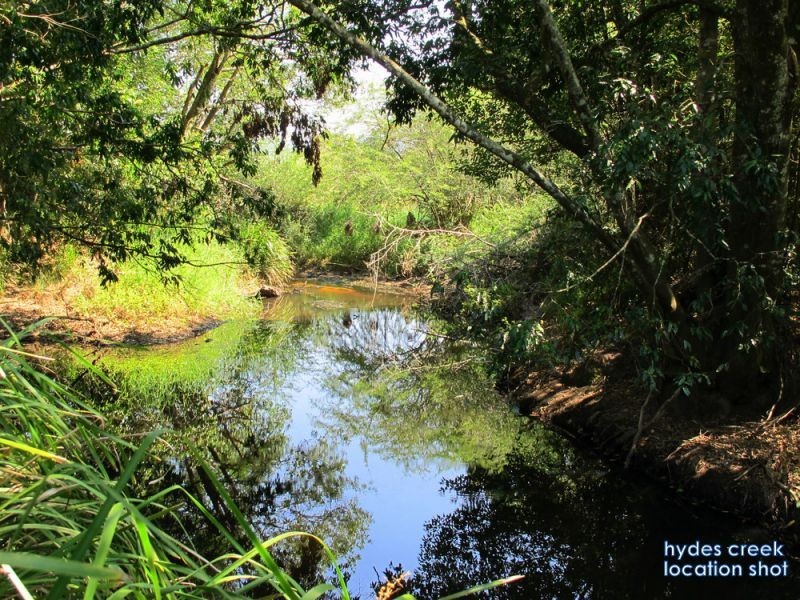 60 Reids Road, Bellingen NSW 2454