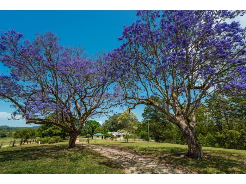 287 Roses Road, Bellingen NSW 2454