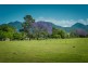 287 Roses Road, Bellingen NSW 2454